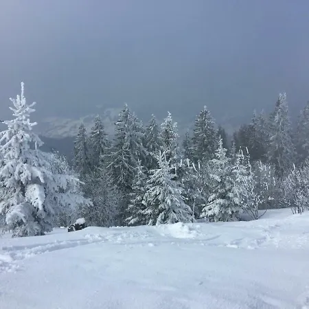 Appartamento T2 Face Au Mont Blanc Au Plateau D'assy Passy (Haute-Savoie)